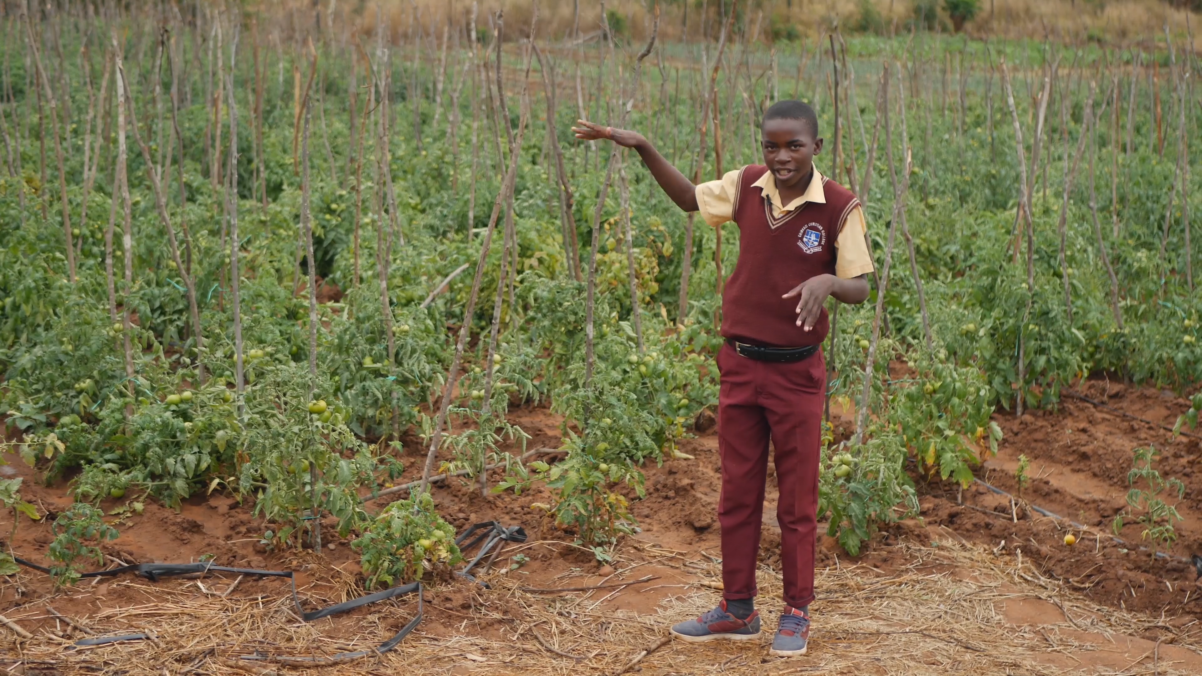 A black boy in a maroon school uniform stands in front of a field of crops, demonstrating their height with his hand