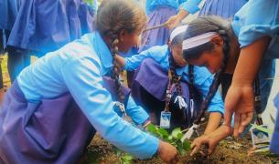 Three Nepali girls with brown skin and long dark braids wearing blue uniforms plant in a garden surrounded by other girls in the same uniform