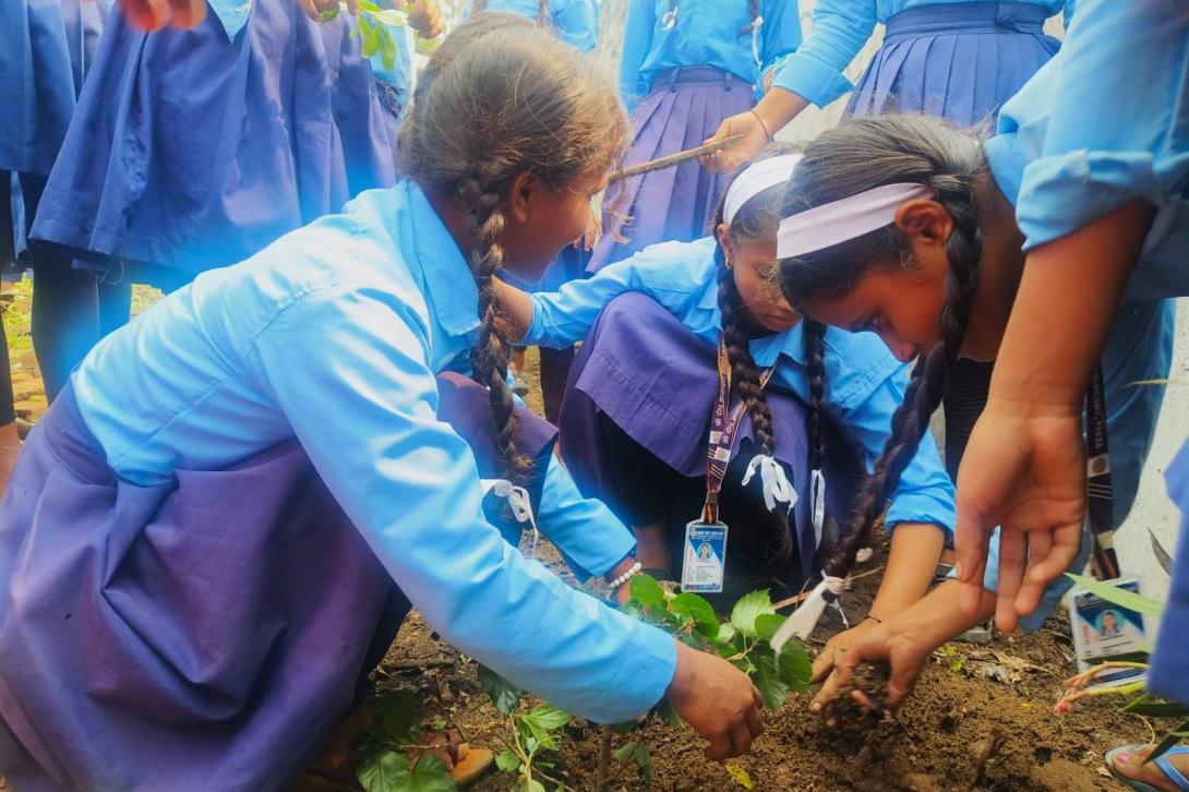 Three Nepali girls with brown skin and long dark braids wearing blue uniforms plant in a garden surrounded by other girls in the same uniform