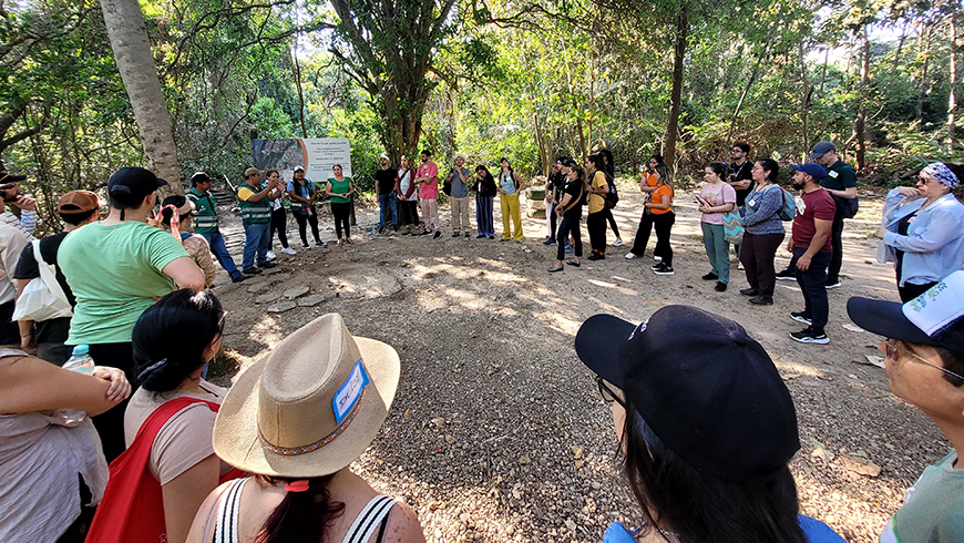 A large, diverse group of people stands in a wide circle in a sun-dappled forest clearing. At the edge of the circle, several individuals in green vests lead a discussion in front of an informational sign. The scene is captured from a wide-angle perspective within the group, surrounded by lush green trees and foliage.